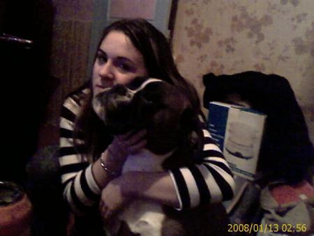 la plus belle race de chien au monde